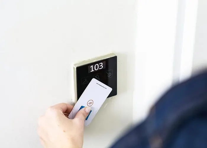 Class Porcelan Daire *